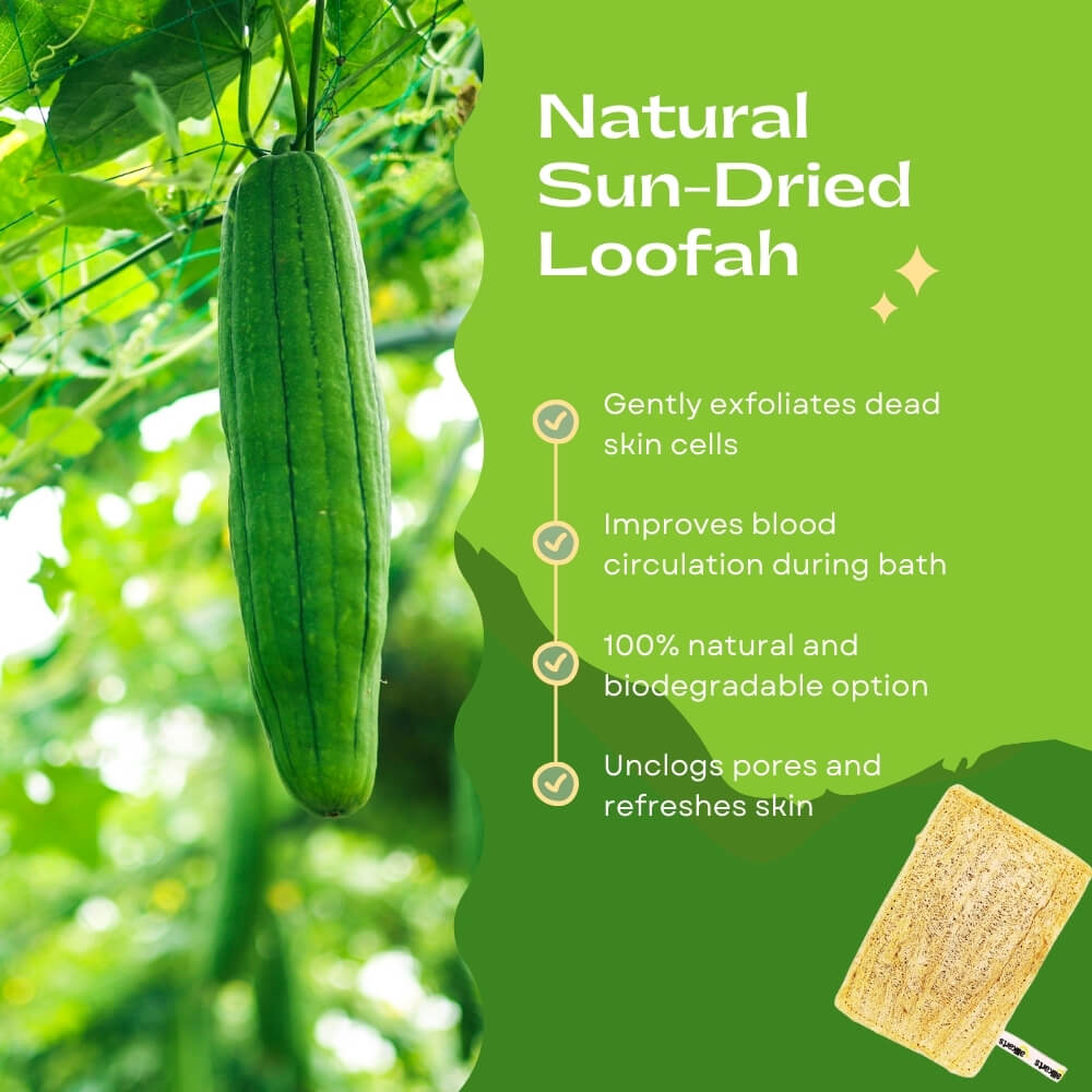 Natural Sun-Dried Loofah