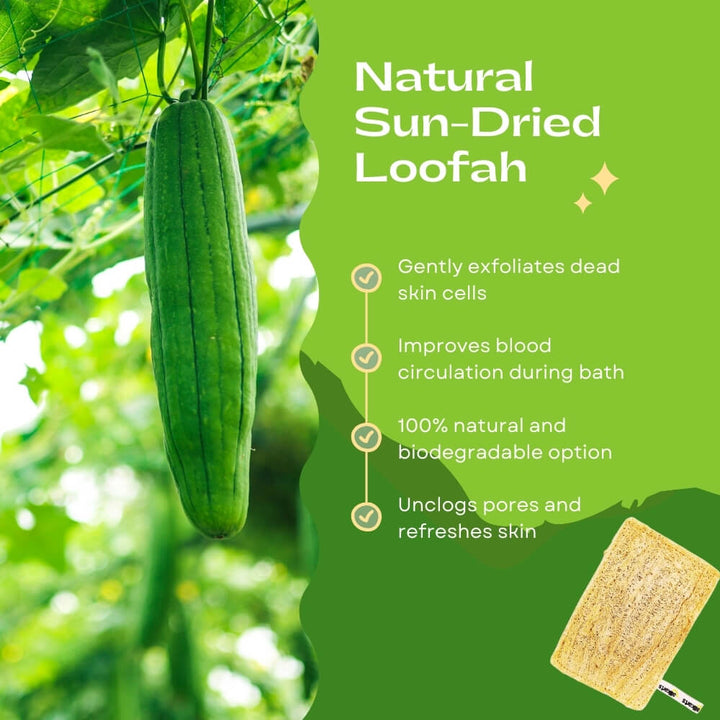Natural Sun-Dried Loofah